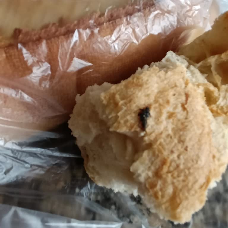 İstanbul Halk Ekmek, Ekmekte Sinek Şoku!