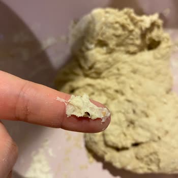 Ekmek Karışımında Böcek Şoku