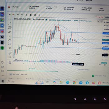 Bitci.com.tr'de İşlem Gecikmeleri Ve Zarar