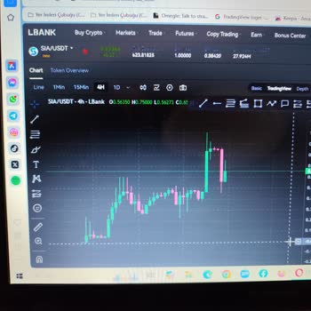 Bitci.com.tr'de İşlem Gecikmeleri Ve Zarar
