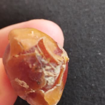 Çürük Ve Kirli Hurma Skandalı