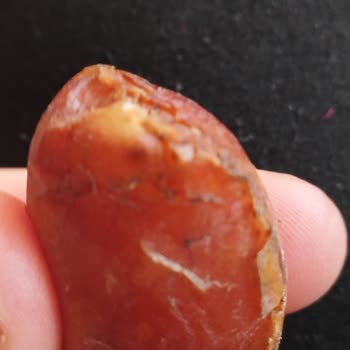 Çürük Ve Kirli Hurma Skandalı