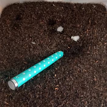 Çaykur Tiryaki Çayında Plastik Parçalar: Büyük Hayal Kırıklığı