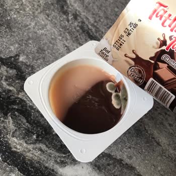 Küflü Puding Şoku: Sütaş Hayal Kırıklığı