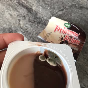 Küflü Puding Şoku: Sütaş Hayal Kırıklığı