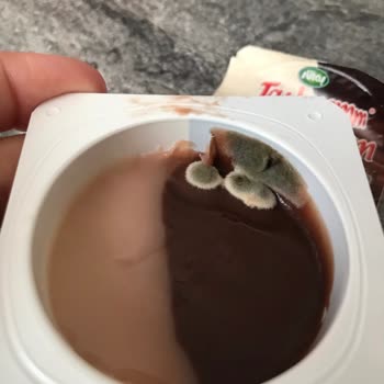 Küflü Puding Şoku: Sütaş Hayal Kırıklığı