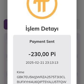 Güvenlik Zafiyeti: Pi Cüzdanımdan İzinsiz Transfer!