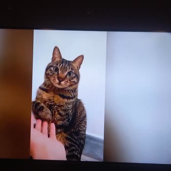 Grundig TV Servis Deneyimi: Ekran Sorunu Ve Yetersiz Çözüm