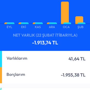 İş Bankası Mobil Uygulama Arayüzünde Borç Sorgulama Sorunu