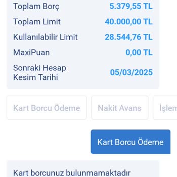 İş Bankası Mobil Uygulama Arayüzünde Borç Sorgulama Sorunu