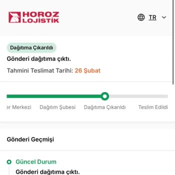 Kayıp Kargo: Teslim Edilmeyen Sihirli Sehpa