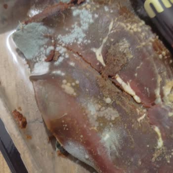 BİM'den Aldığım Küflü Pastırma Şoku