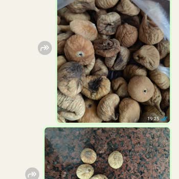 Instagram'da Görülen İncirler Gerçek Çıkmadı