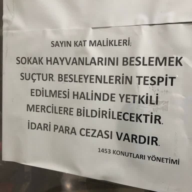 Sokak Hayvanlarını Beslemek Suç Mu Oldu