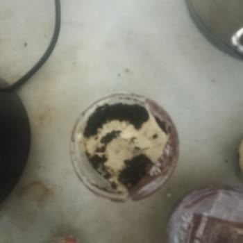 Bozuk Tiramisu Sağlığımızı Tehlikeye Atıyor