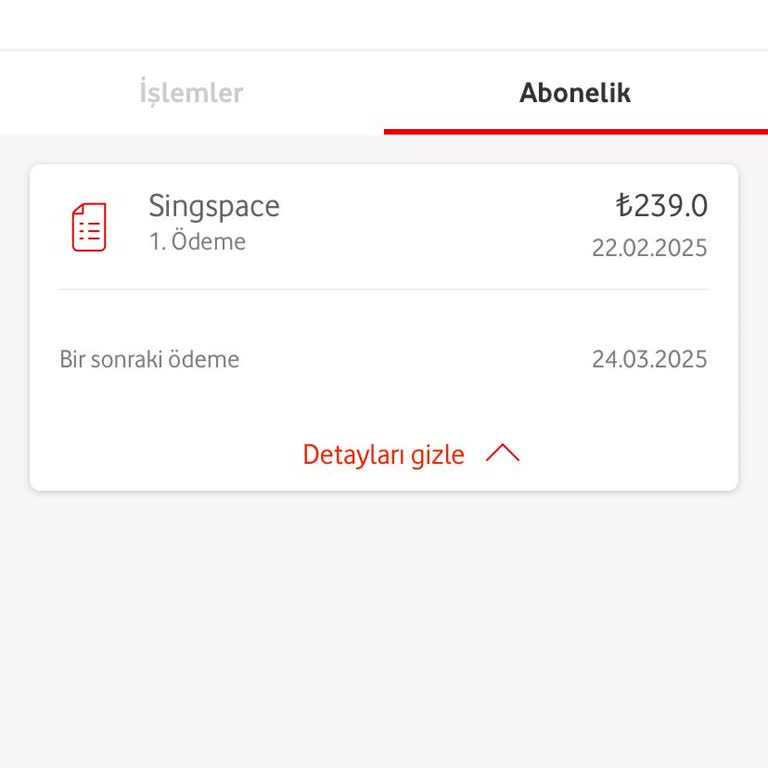 Singspace Aboneliği: Bilgim Dışında Kesilen Ek Ücret