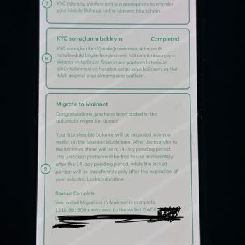 Pi Coin Cüzdanıma Erişim Sorunu