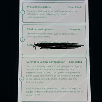 Pi Coin Cüzdanıma Erişim Sorunu