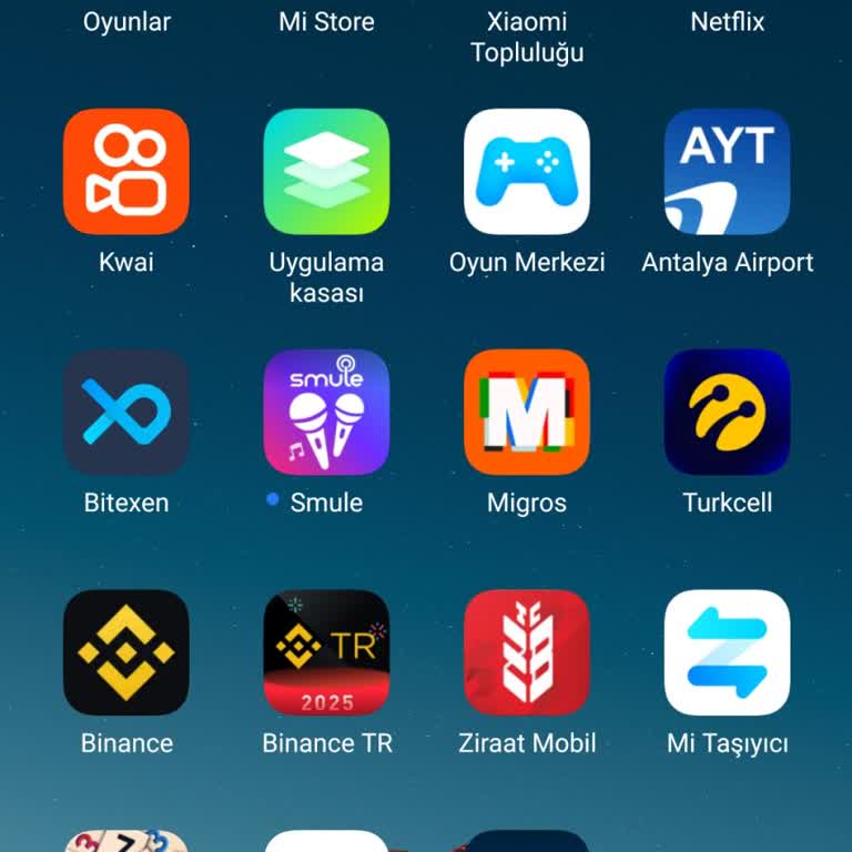 Güvenlik Açığı Ve Hesap Güvenliği Sorunu