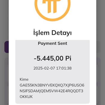 6 Yıllık Emek Çöp Oldu: Çalınan Pi'lerim Ve Destek Eksikliği