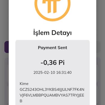 6 Yıllık Emek Çöp Oldu: Çalınan Pi'lerim Ve Destek Eksikliği