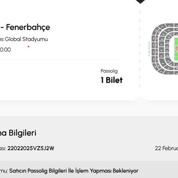 Biletalsat Sitesinde Passolig Sorunları Ve İletişim Eksikliği