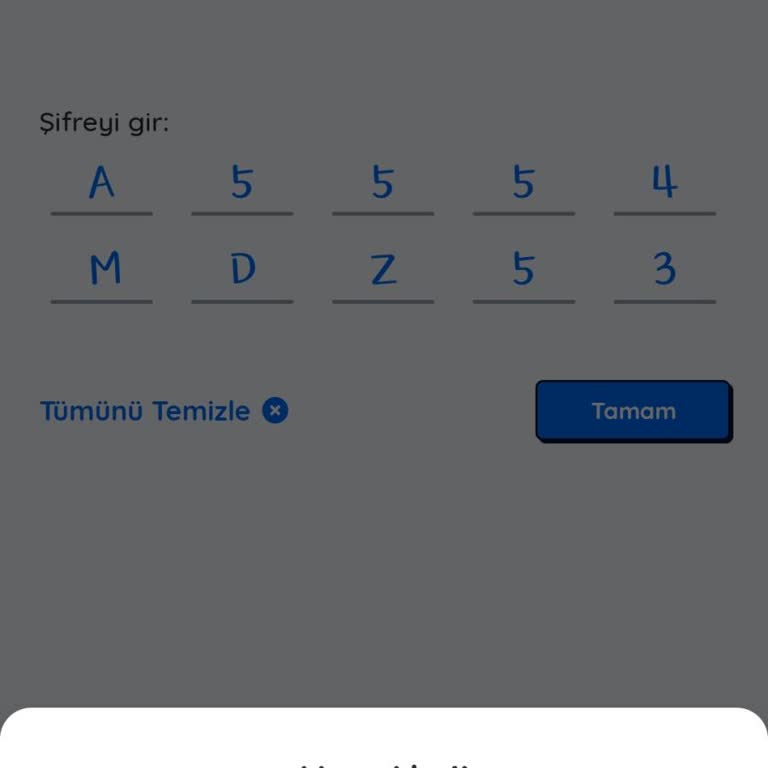 Kampanya Hataları Ve Uygulama Sorunları