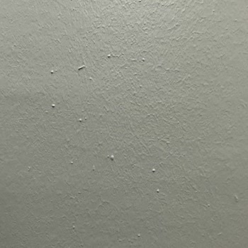 Duvar Boyası Kabusu: Jotun 9912 Grey Sorunu