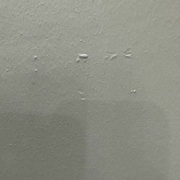 Duvar Boyası Kabusu: Jotun 9912 Grey Sorunu