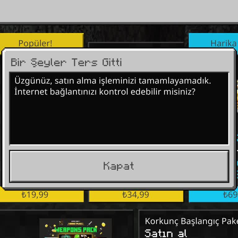 Minecraft Parası Satın Alma Sorunu
