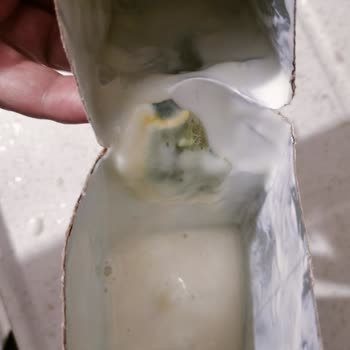 Küflü Salep Şoku: Sütaş Ürününde Büyük Hayal Kırıklığı