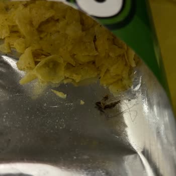 Lays Paketinde Hijyen Skandalı: Böcek Şoku