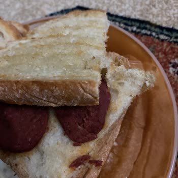 Tost Malzemesinden Çıkan Yabancı Cisim Sorunu
