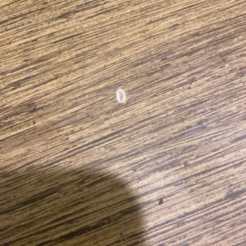 Bellona Orta Sehpa: 5 Ayda Soyulan Kalite