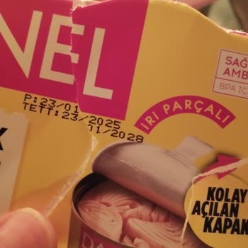 Dardanel Ton Balığı Zehirlenmesi: Çocuk Sağlığı Tehlikede!