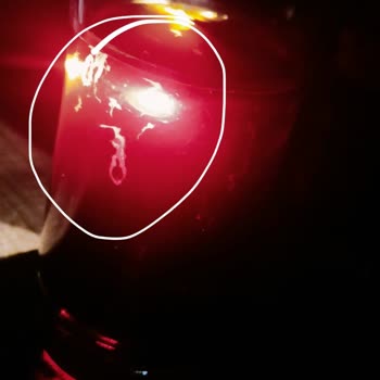 E-Bebek Mavi Promalt İçinde Yabancı Madde Şoku