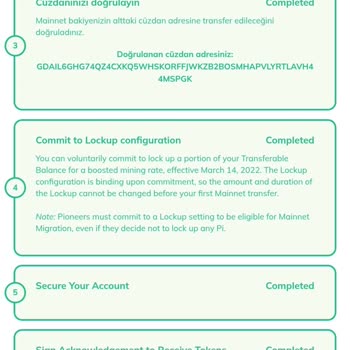 Pi Coin Uygulamasında KYC Başvurusu Sorunu