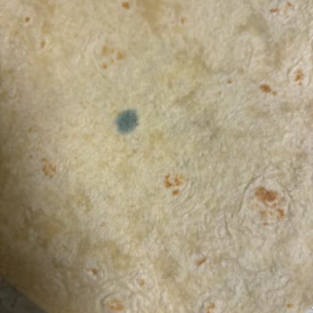 Küflü Lavaş Şoku: Öğrencilerin Zor Durumu