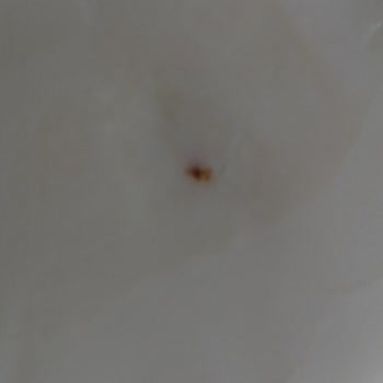 Güvenimizi Sarsan Kaşar Peyniri Sorunu