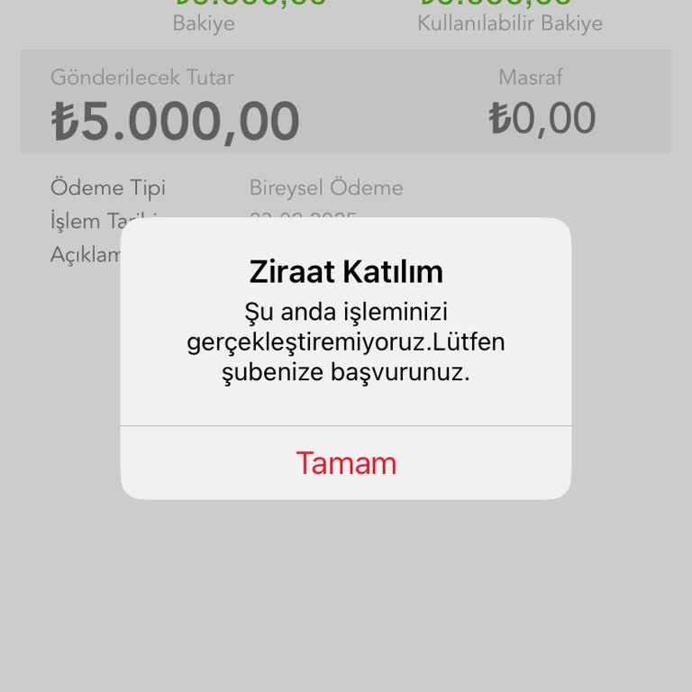 Ziraat Katılım'da Para Transferi Sorunu