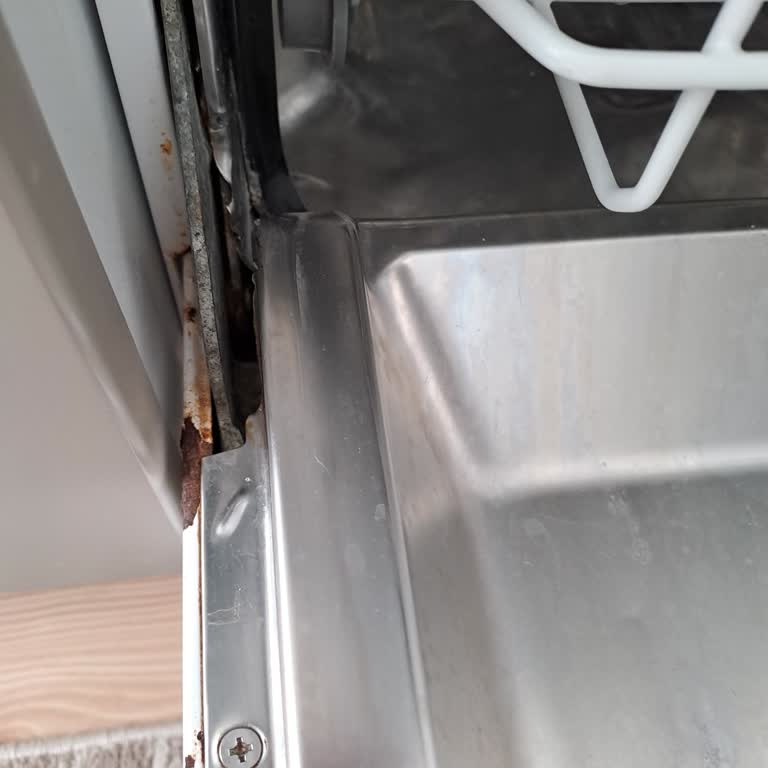 Beko Bulaşık Makinesi Sepetinde Paslanma Sorunu