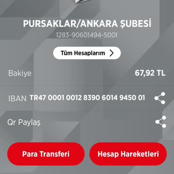 Yanlış Bakiye Gösterimi Ve Müşteri Hizmetleri Sorunu