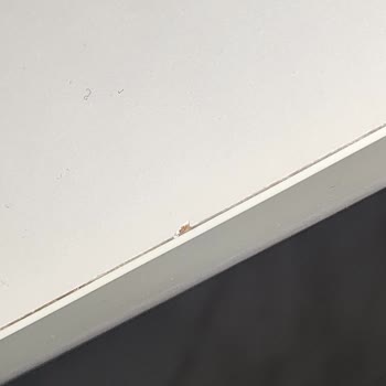 Modalife'dan Aldığımız Masa Takımı Beklentileri Karşılamadı