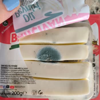 Küflü Peynir Hayal Kırıklığı