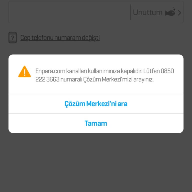 Enpara Hesabına Erişim Sorunu Ve Geciken Ödemeler