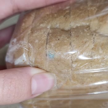 Küflü Siyez Ekmeği: Gıda Güvenliği İhmali