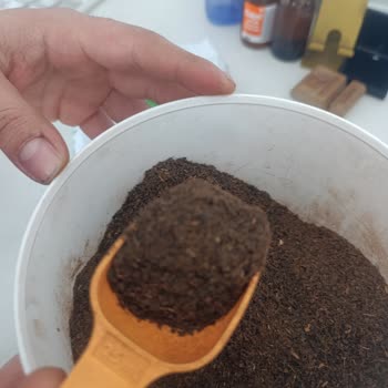 Toz Halindeki Harman Çayı Hayal Kırıklığı