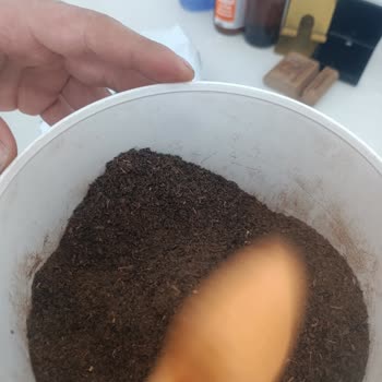 Toz Halindeki Harman Çayı Hayal Kırıklığı