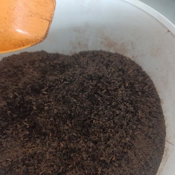 Toz Halindeki Harman Çayı Hayal Kırıklığı