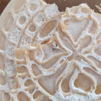 A101'deki Üründen Çıkan Şaşırtıcı Sürpriz